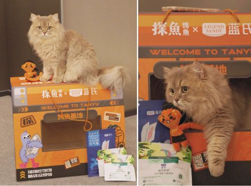 猫咪和汤无限钻石全解锁最新版2024下载-猫咪和汤无限钻石官方版下载v.6.27 猫咪和汤无限钻石全解锁最新版2024下载-猫咪和汤无限钻石官方版下载v.6.27